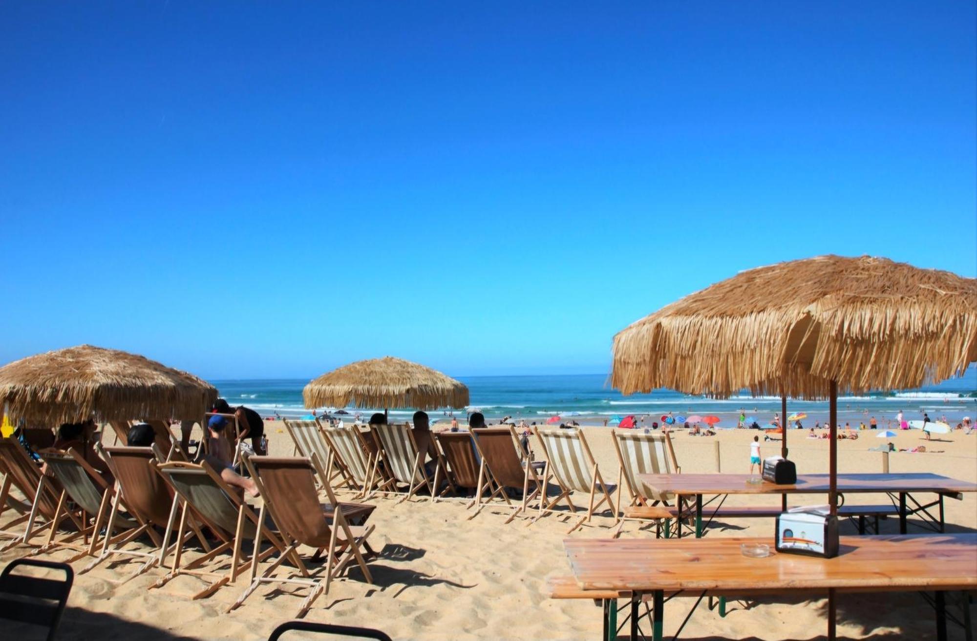 Appartement Avec Terrasse/Bord De Mer/Ideal Surf Seignosse Ngoại thất bức ảnh